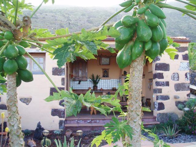 Casa De Mi Abuela Maria Guest House Frontera Exterior foto